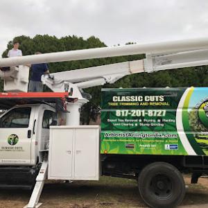 Classic Cuts Tree services