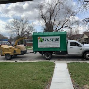 ATS Tree Service