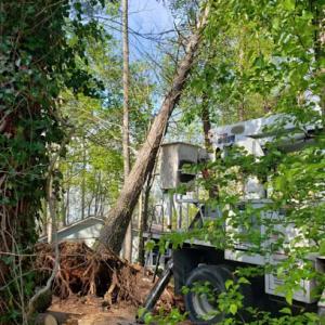 Nick Greene's Tree Services