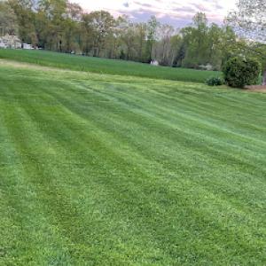 West End Lawn & Landscaping