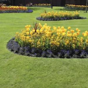 Clear Creek Landscaping