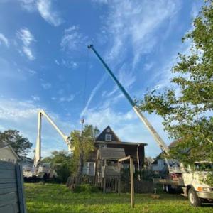 Outdoor Exposure Tree Service