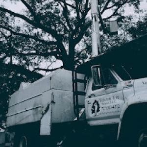 Veteran Tree Service