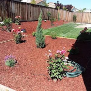 Montoya's Landscaping