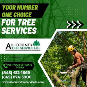 All County Tree Services