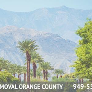 Tree Removal Orange County