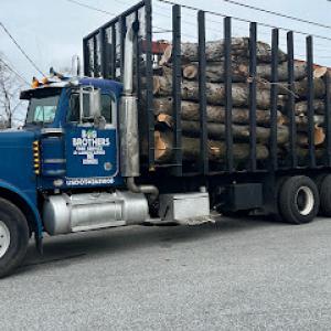 Big Brothers Tree Service