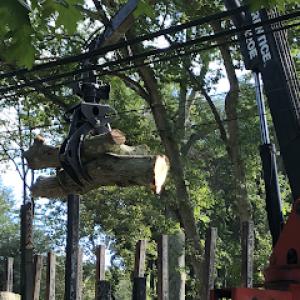 Allstate Tree & Shrub