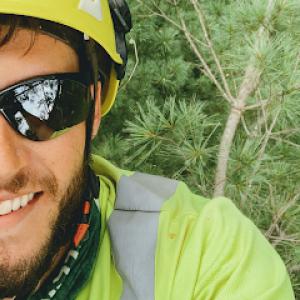 Integrity Tree Specialist