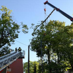 Vasko Tree & Crane