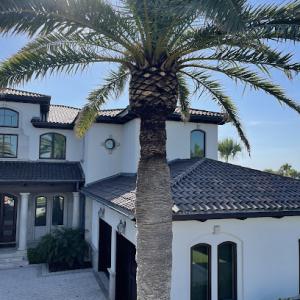Ponte Vedra Palm