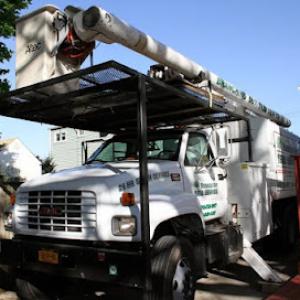 All American Tree Service & Removal Long Island