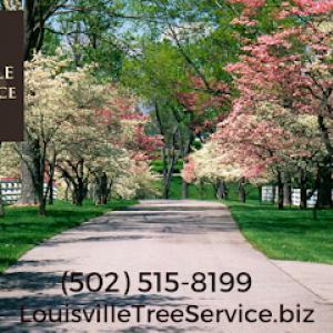 Louisville Tree Service