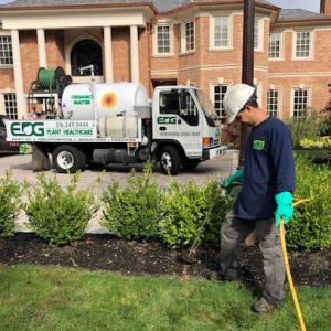 Organic Tree Spraying with Environmental Design Group