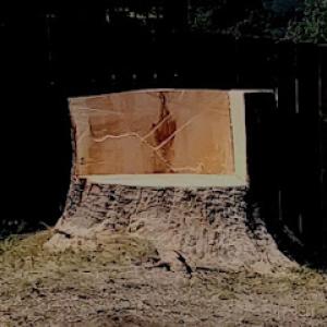 Buchanan tree service & snow plowing