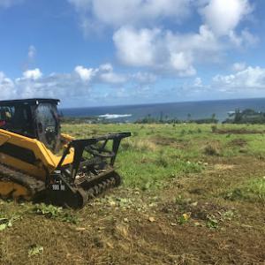 Hawaii Vegetation Control