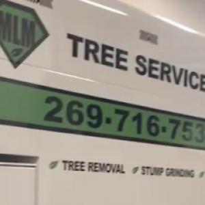 MLM Tree Service Vicksburg