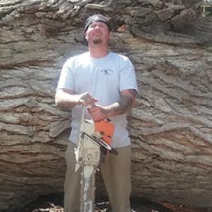 Campbell's Tree & Stump Service