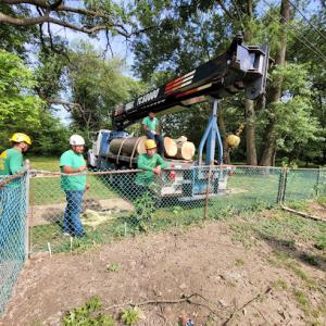 Pro Contractors Tree Removal & Handyman