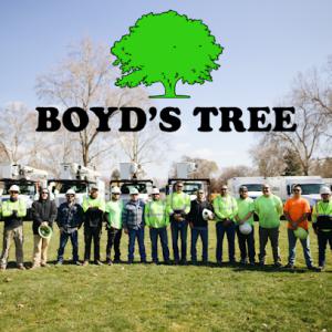 Boyd's Tree Service
