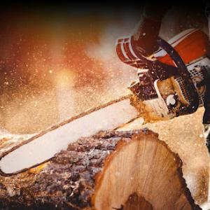 Olivares Tree Consulting