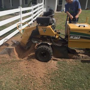 Acorn Stump Grinding