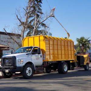 West Coast Arborists