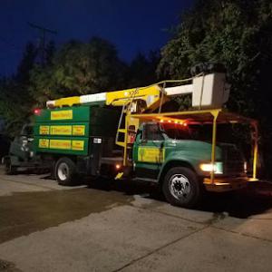 Basin Family Tree Care