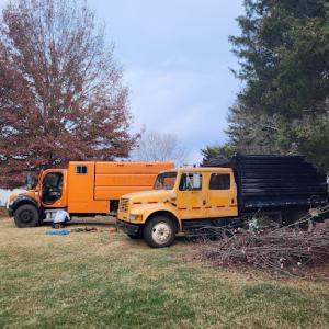 Antonio's tree service | Tree Care | Tree Contractor | arborist near me | Tree Removal | tree company | Knoxville ,TN