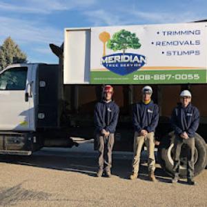Meridian Tree Service