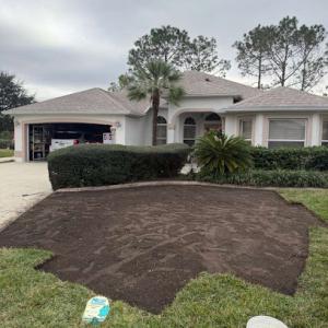 Gonzalez Landscaping & Tree Service