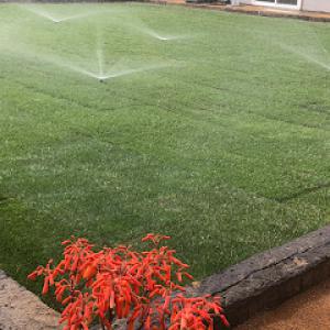 Greenscape Projects 951