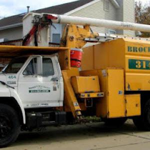 Brock's Tree Service