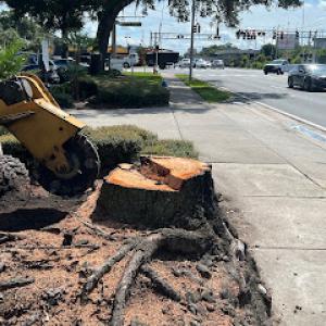 Easy Stump Grinding