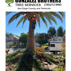 Gonzalez Brothers Tree Service