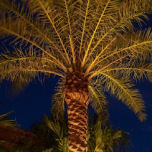 Utopia Landscape Services