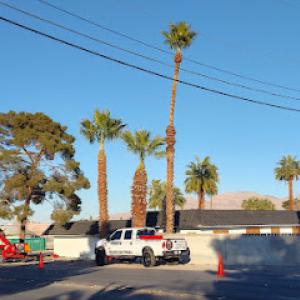 Beaver Brothers Tree Service