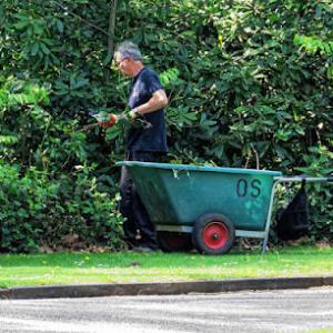 Stockton Tree Services