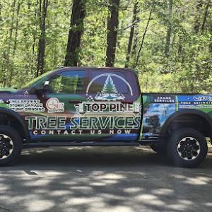 Top pine Tree Services