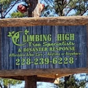 Climbing High Tree Specialists