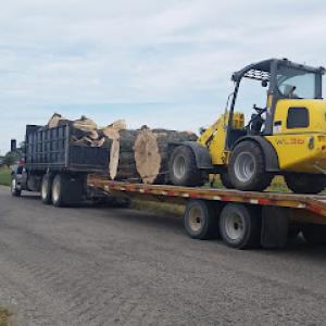 McCoy's Tree Service