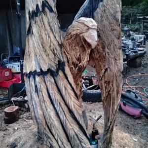 Calebs chainsaw art & trees