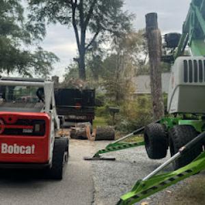 Noe C. Gonzalez Tree Service