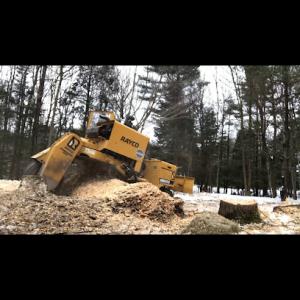 Cumberland Stump Removal