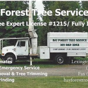 Bay Forest Tree Service