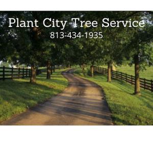 Plant City Tree Service