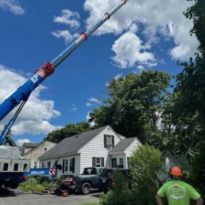 Livingston Family Tree Service