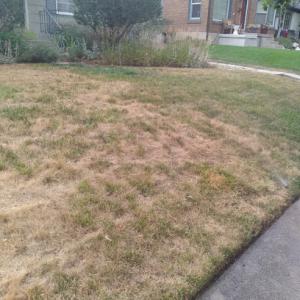 A Cut Above Landscaping