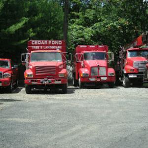 Cedar Pond Tree & Crane Service