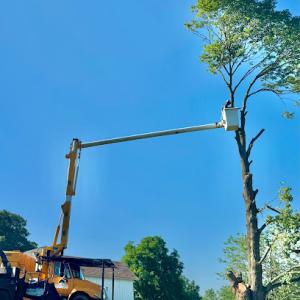 Rocky Ridge Tree service & Excavating
